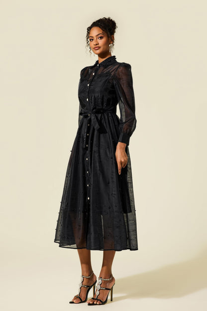 Beautifully Balanced Dress with Timeless Character