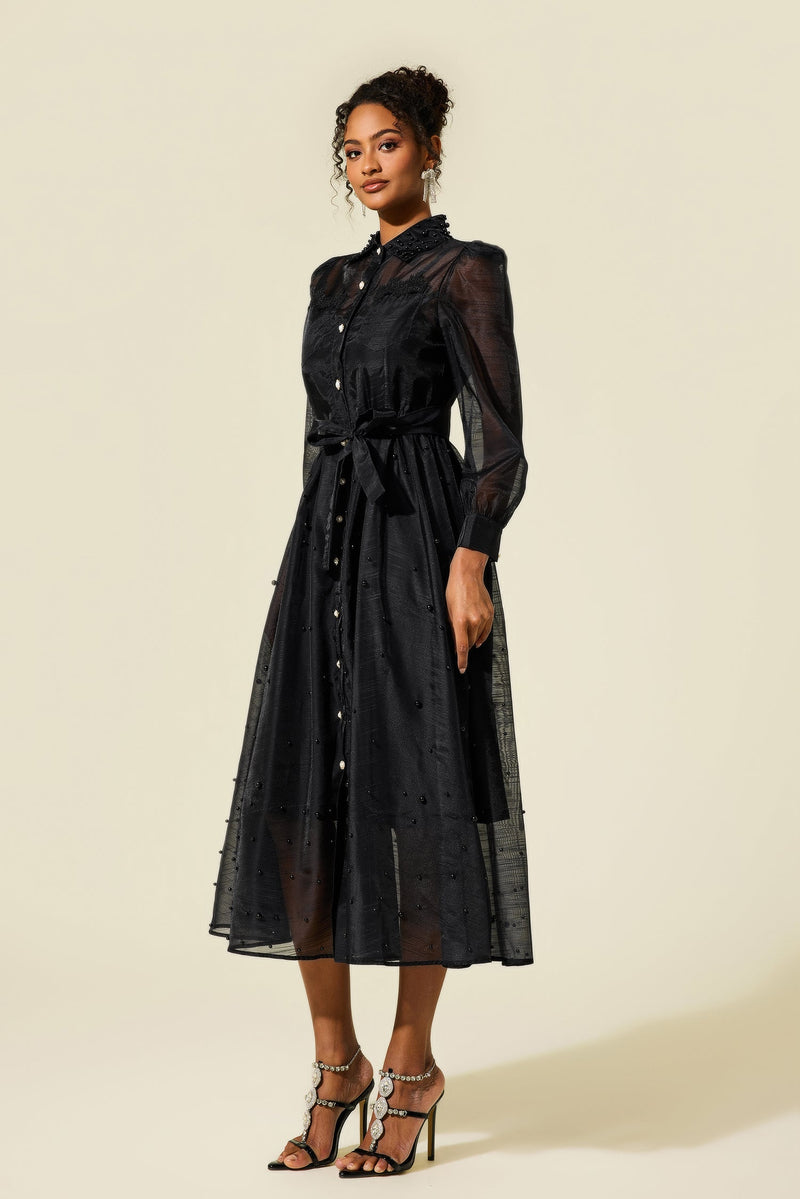 Beautifully Balanced Dress with Timeless Character