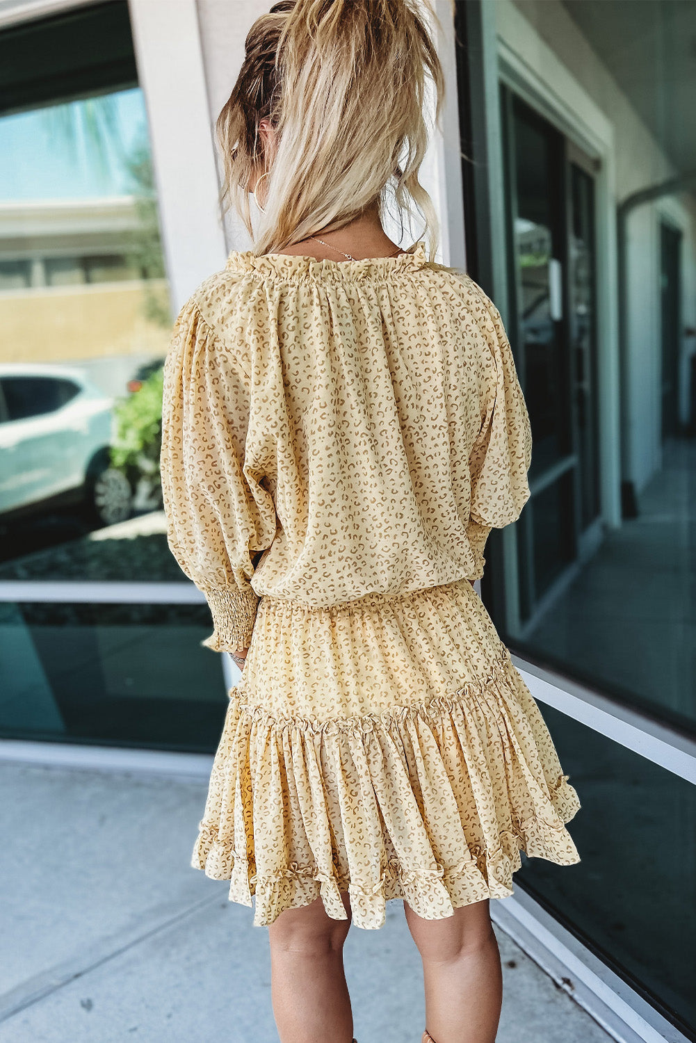 Gracefully Styled Dress for Any Occasion