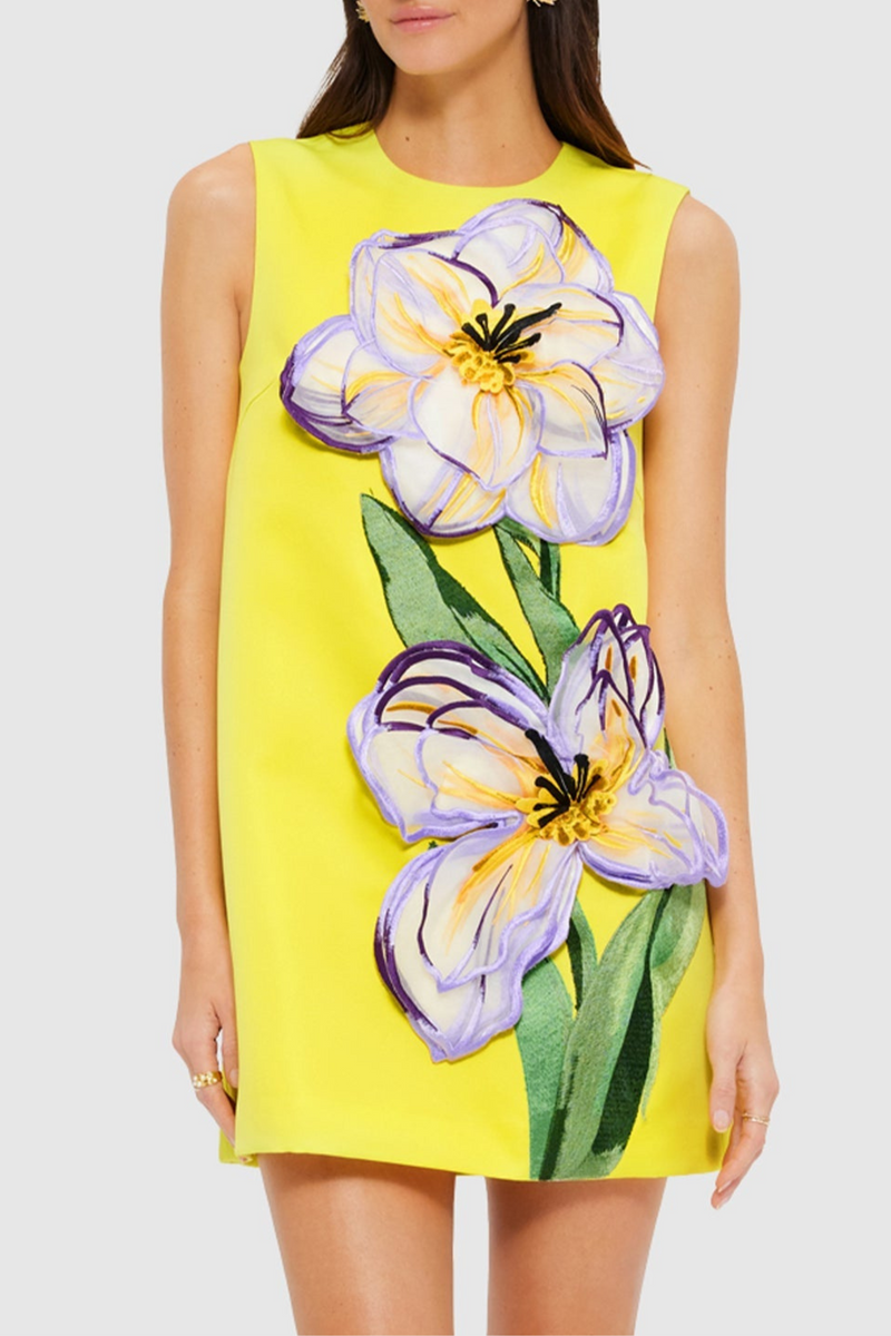 Classic Vintage & Enduringly Stylish Dress