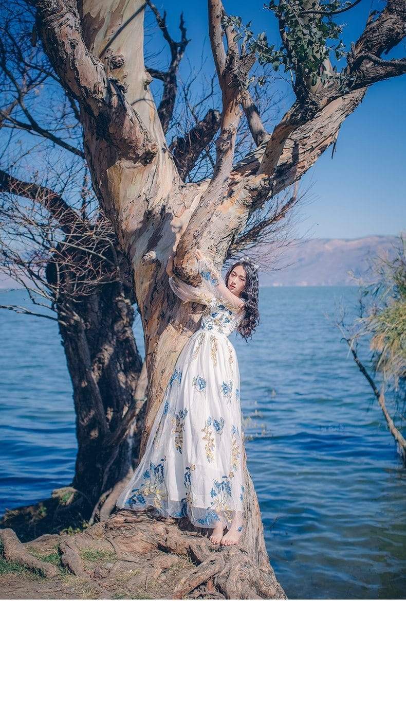 Beautifully Crafted Dress in a Classic Style