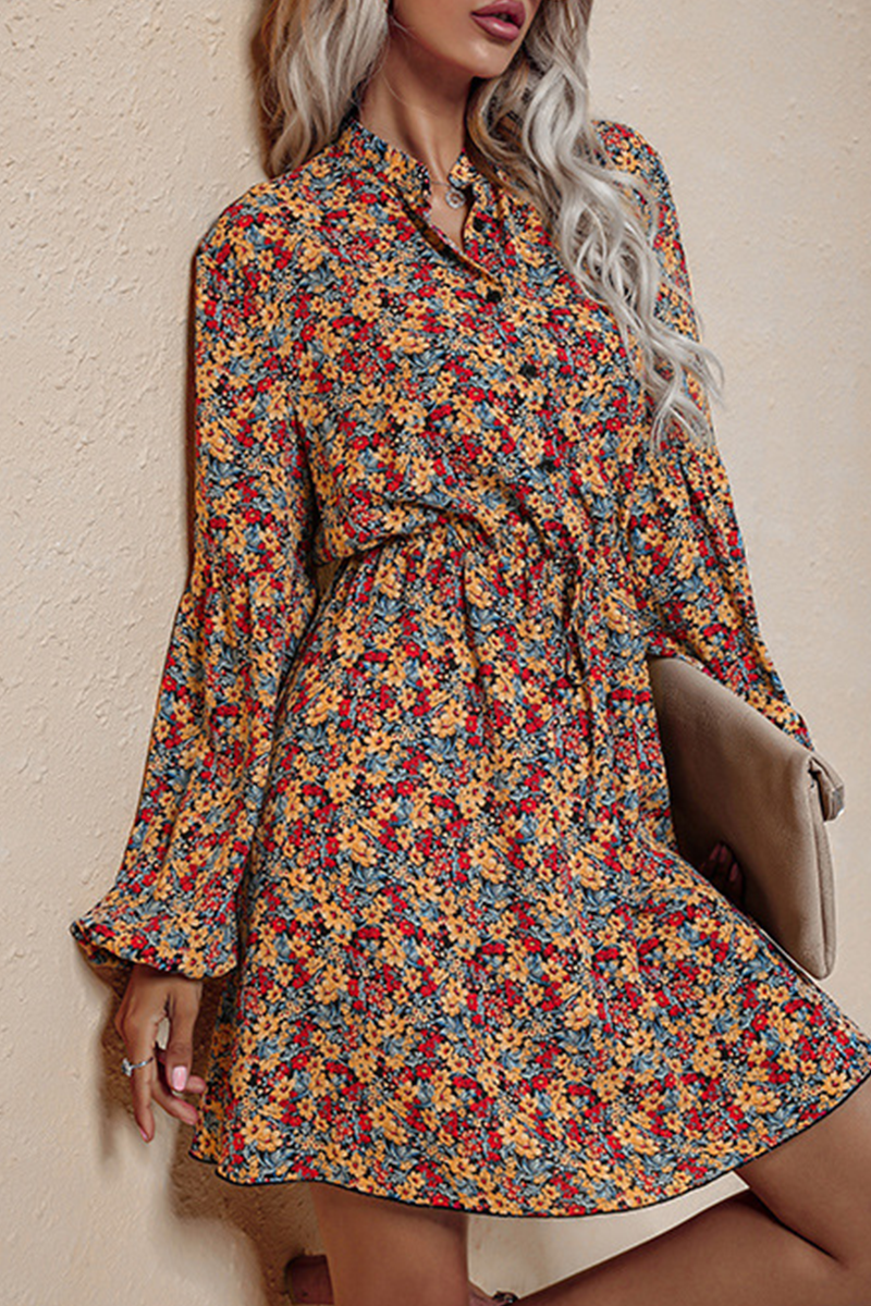 Elegantly Styled Dress for Everyday Wear
