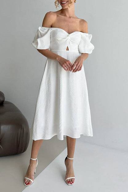 Sophisticated Dress with a Clean Classic Look