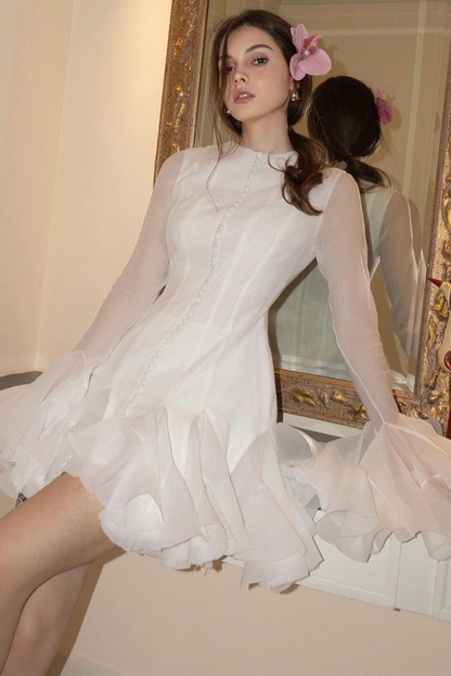 Gracefully Styled Dress for Any Occasion