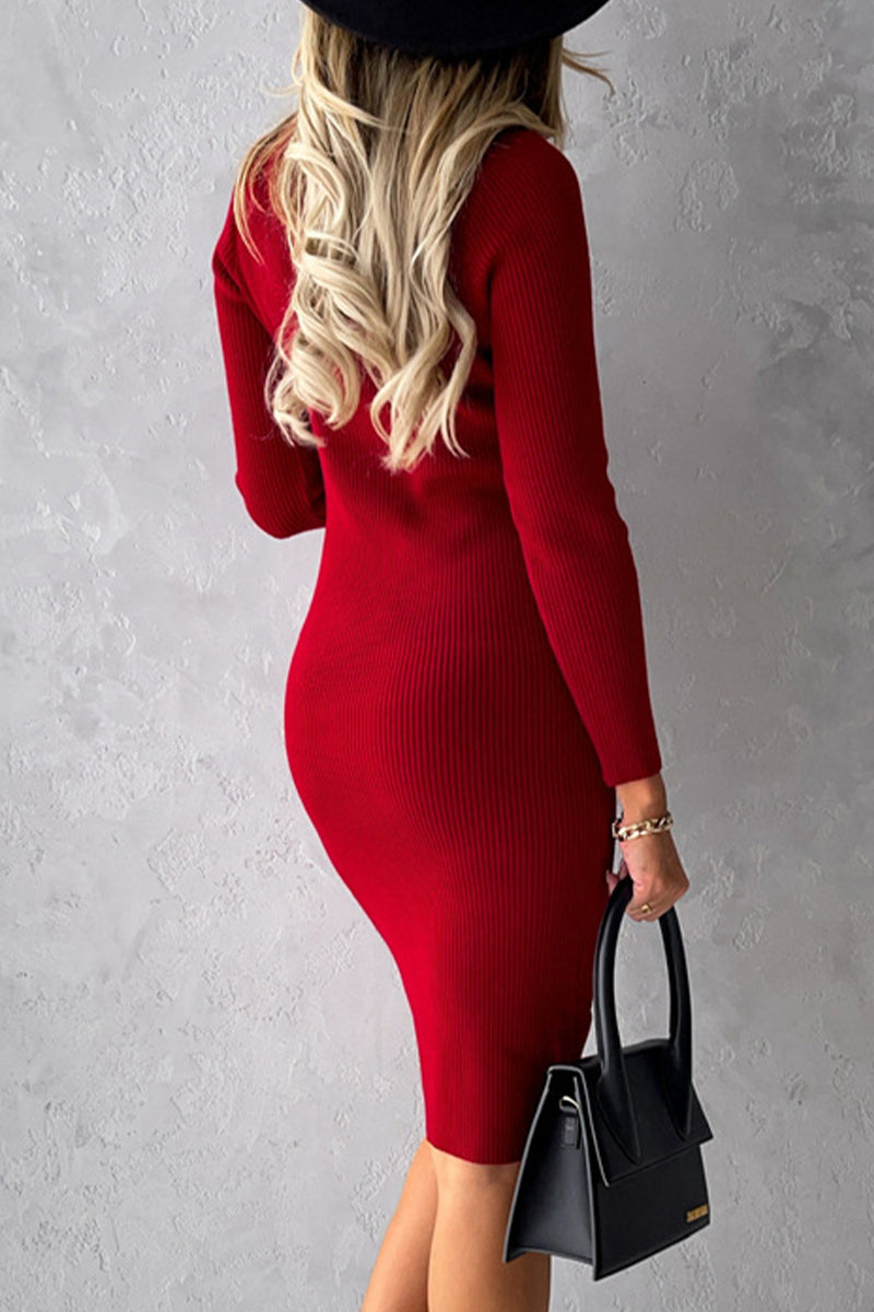 Sophisticated Dress with a Clean Classic Look