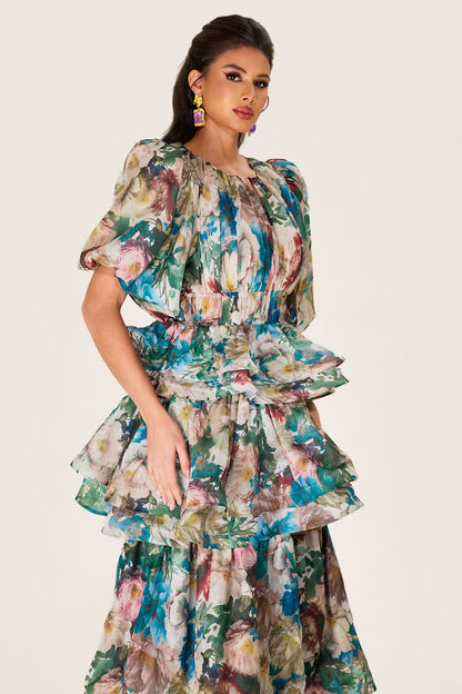 Gracefully Styled Dress for Any Occasion