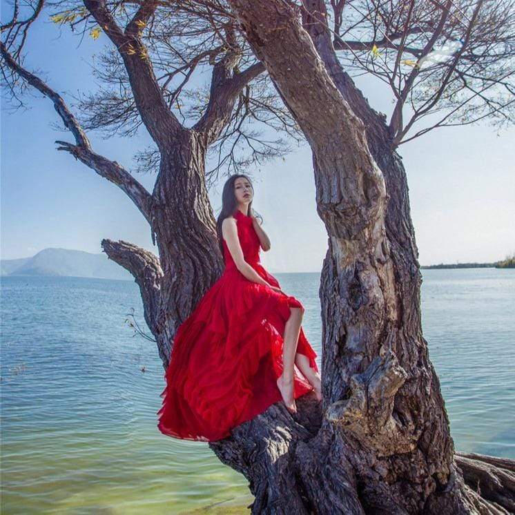 Beautifully Finished Dress in a Timeless Design