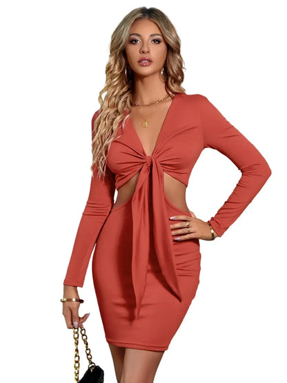 Sophisticated Dress with a Clean Classic Look