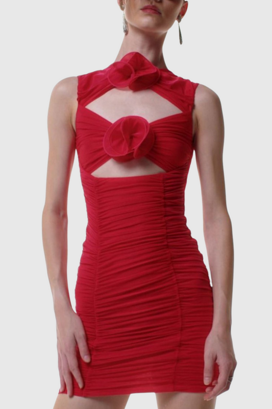 Sophisticated Dress with a Clean Classic Look