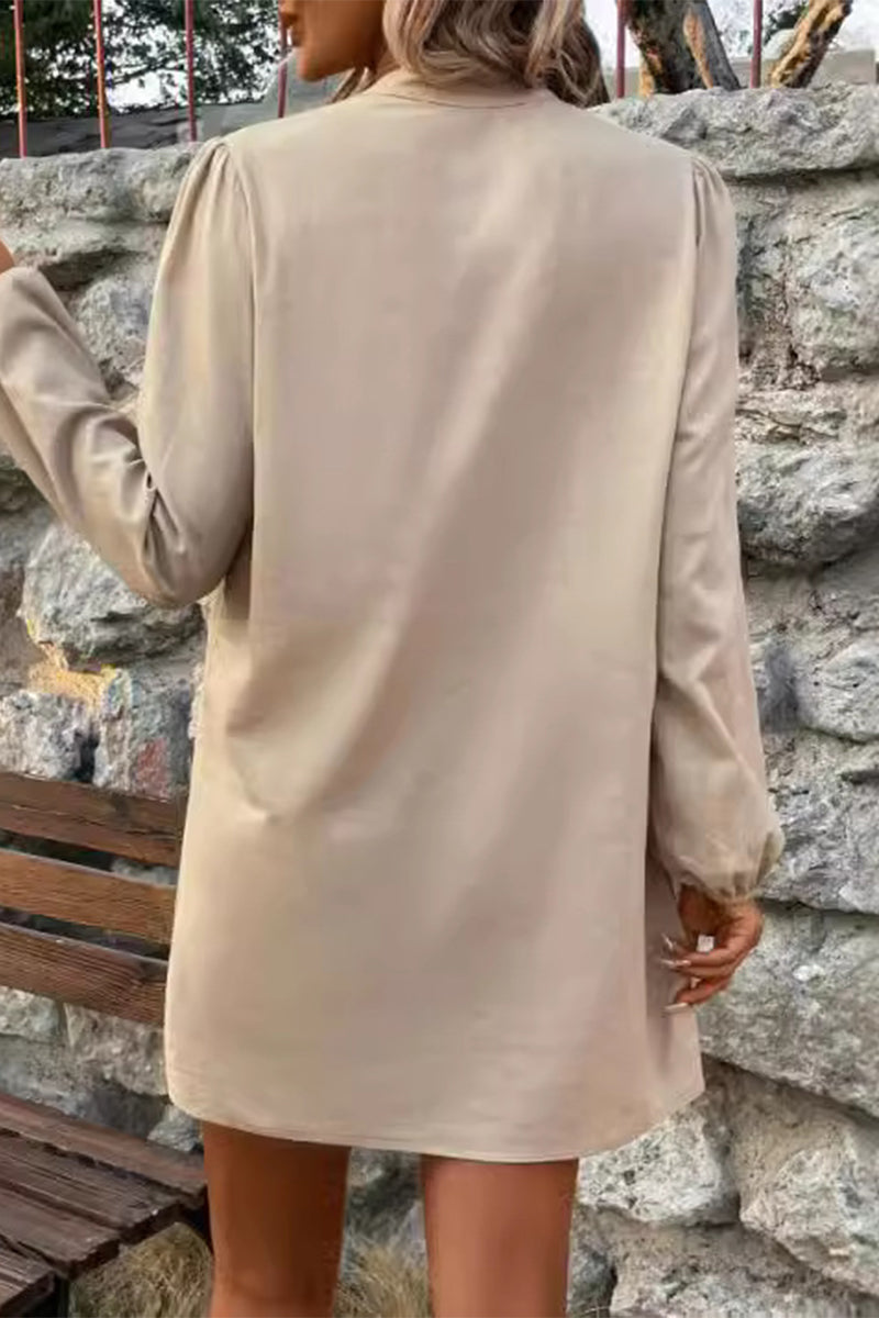 Sophisticated Dress with a Clean Classic Look