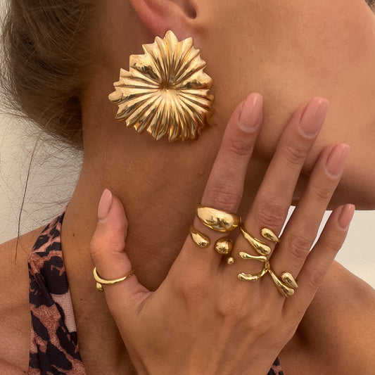 Charming Earring for Any Occasion