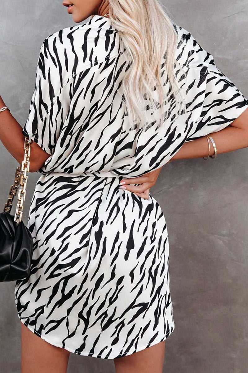 Sophisticated Dress with a Clean Classic Look
