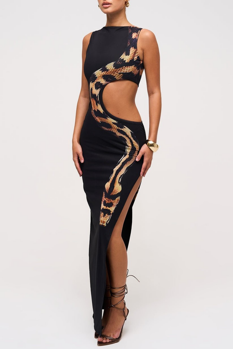 Gracefully Styled Dress for Any Occasion