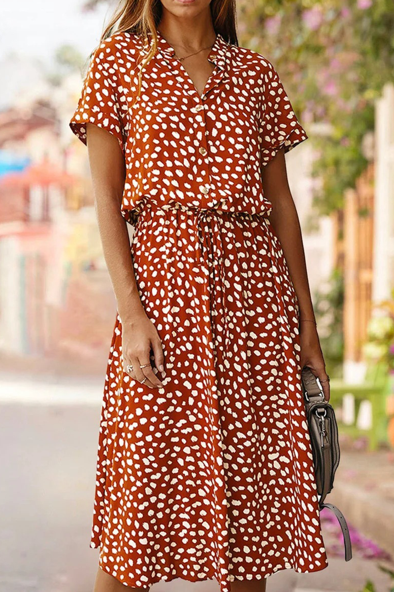 Elegantly Styled Dress for Everyday Wear