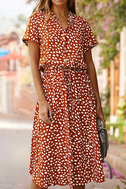Elegantly Styled Dress for Everyday Wear