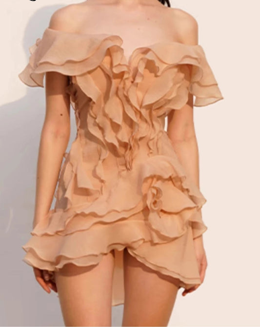 Gracefully Styled Dress for Any Occasion