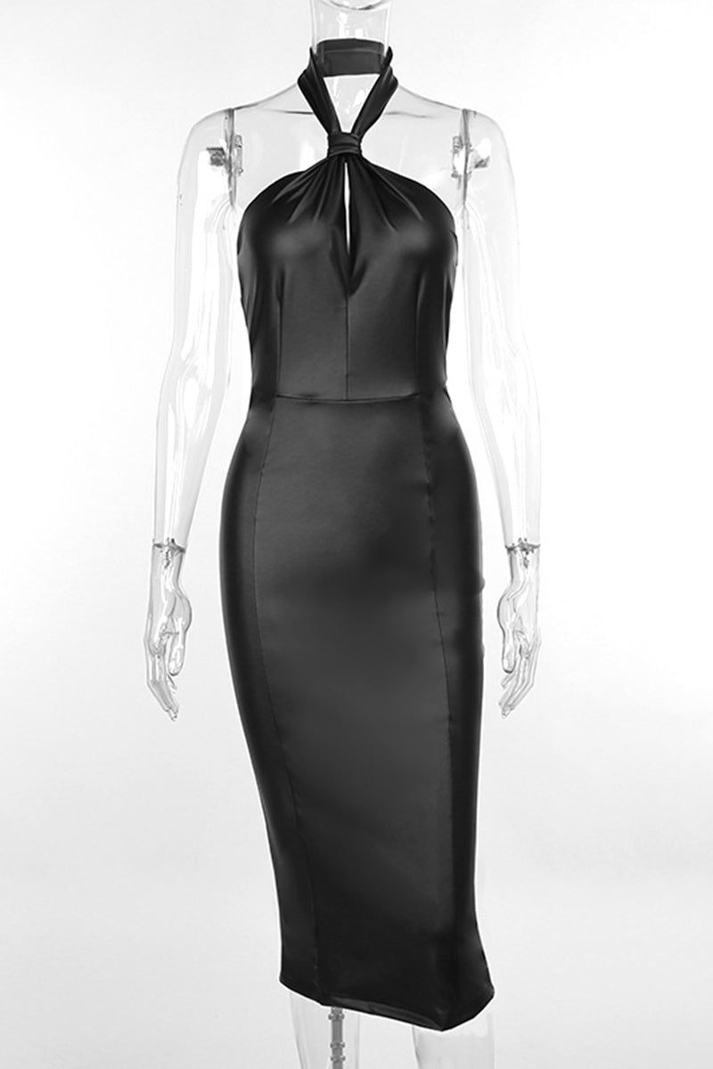 Sophisticated Dress with a Clean Classic Look
