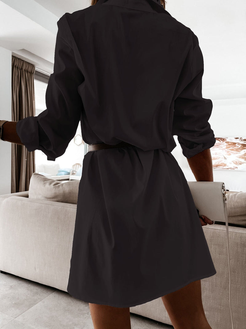 Sophisticated Dress with a Clean Classic Look