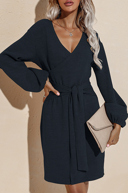 Sophisticated Dress with a Clean Classic Look