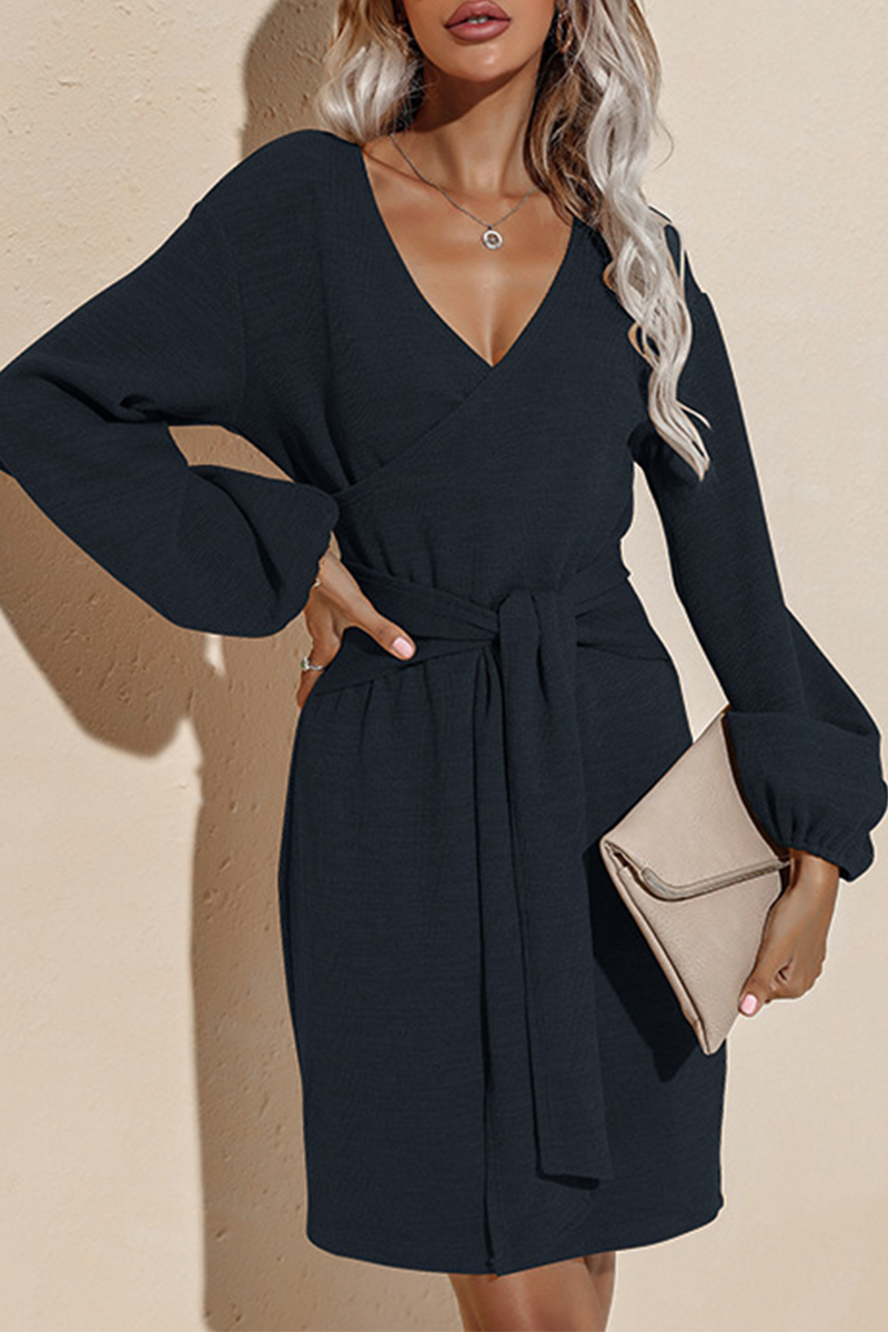 Sophisticated Dress with a Clean Classic Look