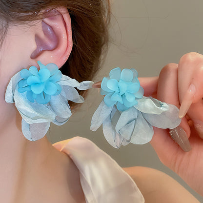 Beautiful Silver Earring with Unique Style
