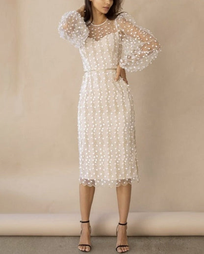 Sophisticated Dress with a Clean Classic Look