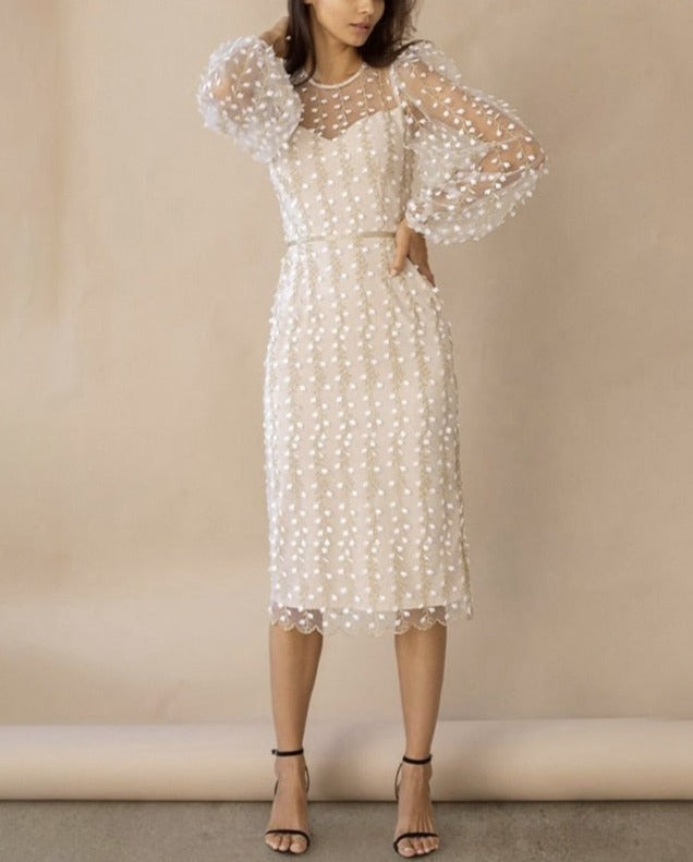 Sophisticated Dress with a Clean Classic Look
