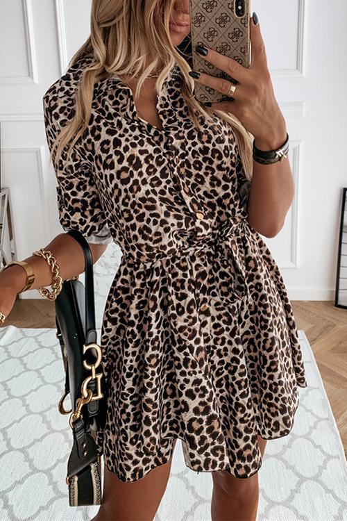 Leopard