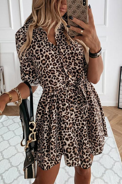 Leopard