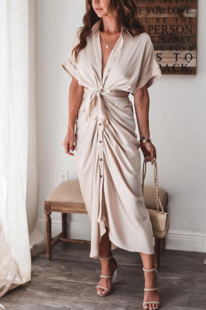 Sophisticated Dress with a Clean Classic Look