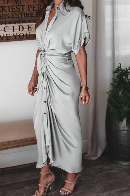 Sophisticated Dress with a Clean Classic Look