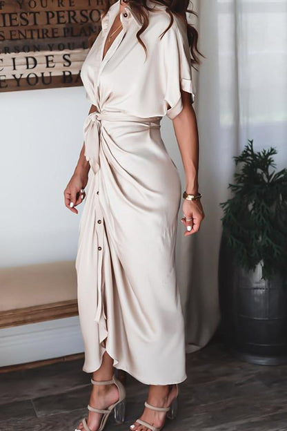Sophisticated Dress with a Clean Classic Look