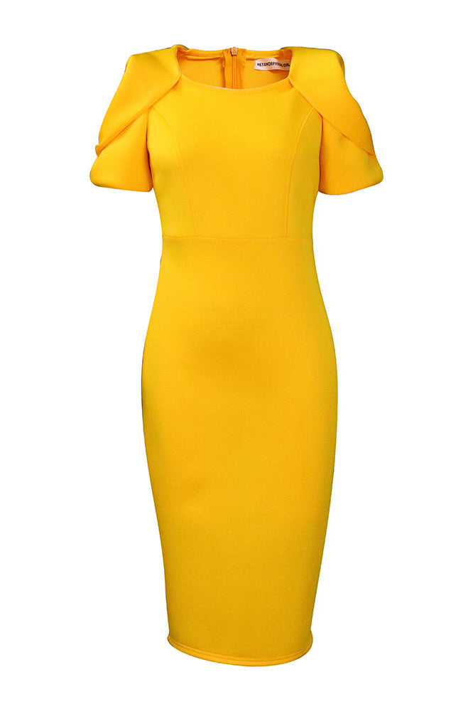 Classic Vintage & Enduringly Stylish Dress