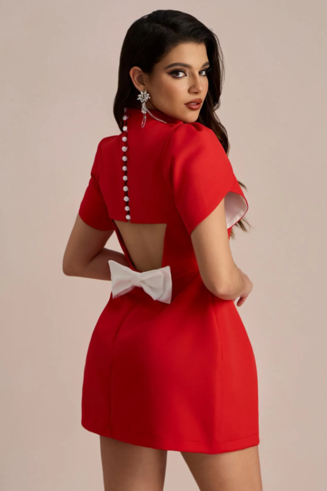 Beautifully Crafted Dress in a Classic Style