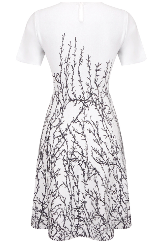 Elegantly Styled Dress for Everyday Wear