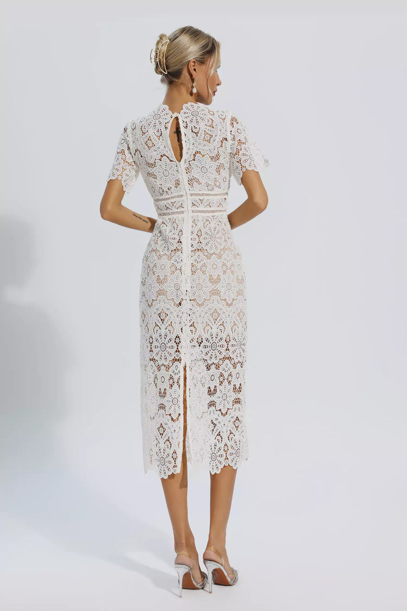 Polished Dress with an Effortless Classic Look