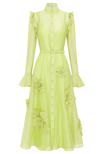 Beautifully Balanced Dress with Timeless Character