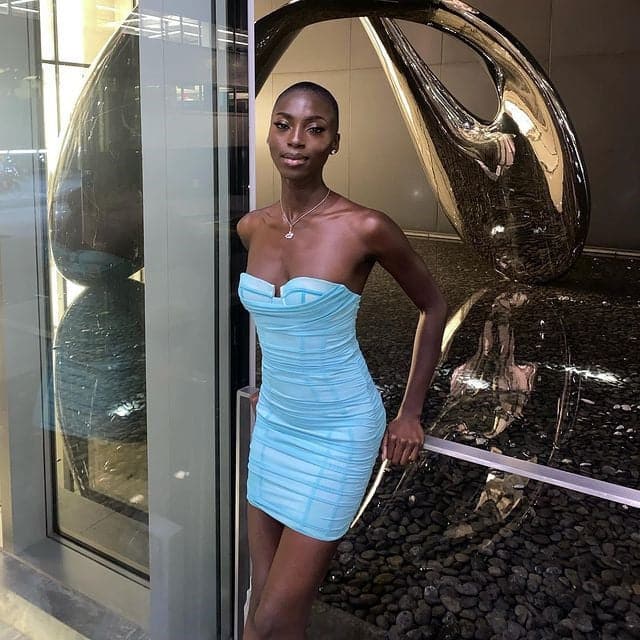 Sophisticated Dress with a Clean Classic Look