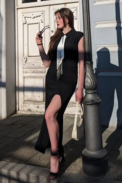 Sophisticated Dress with a Clean Classic Look