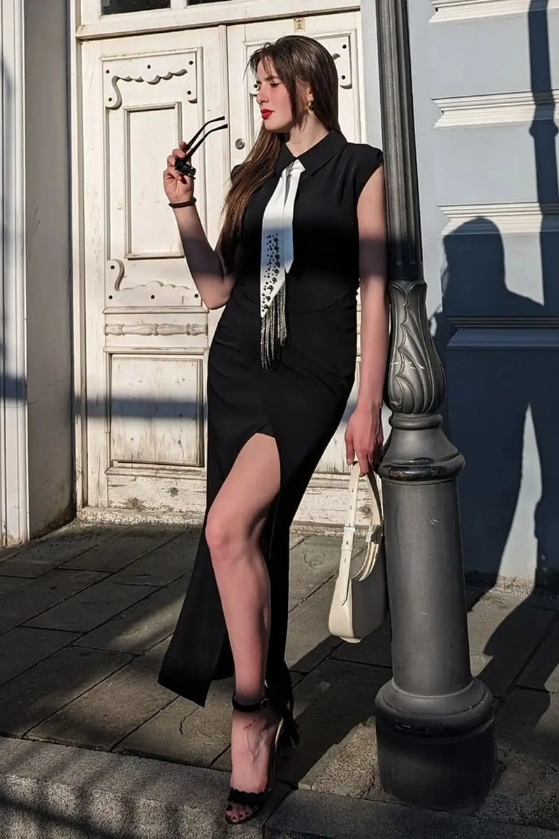 Sophisticated Dress with a Clean Classic Look