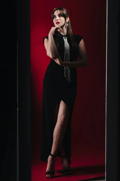 Sophisticated Dress with a Clean Classic Look