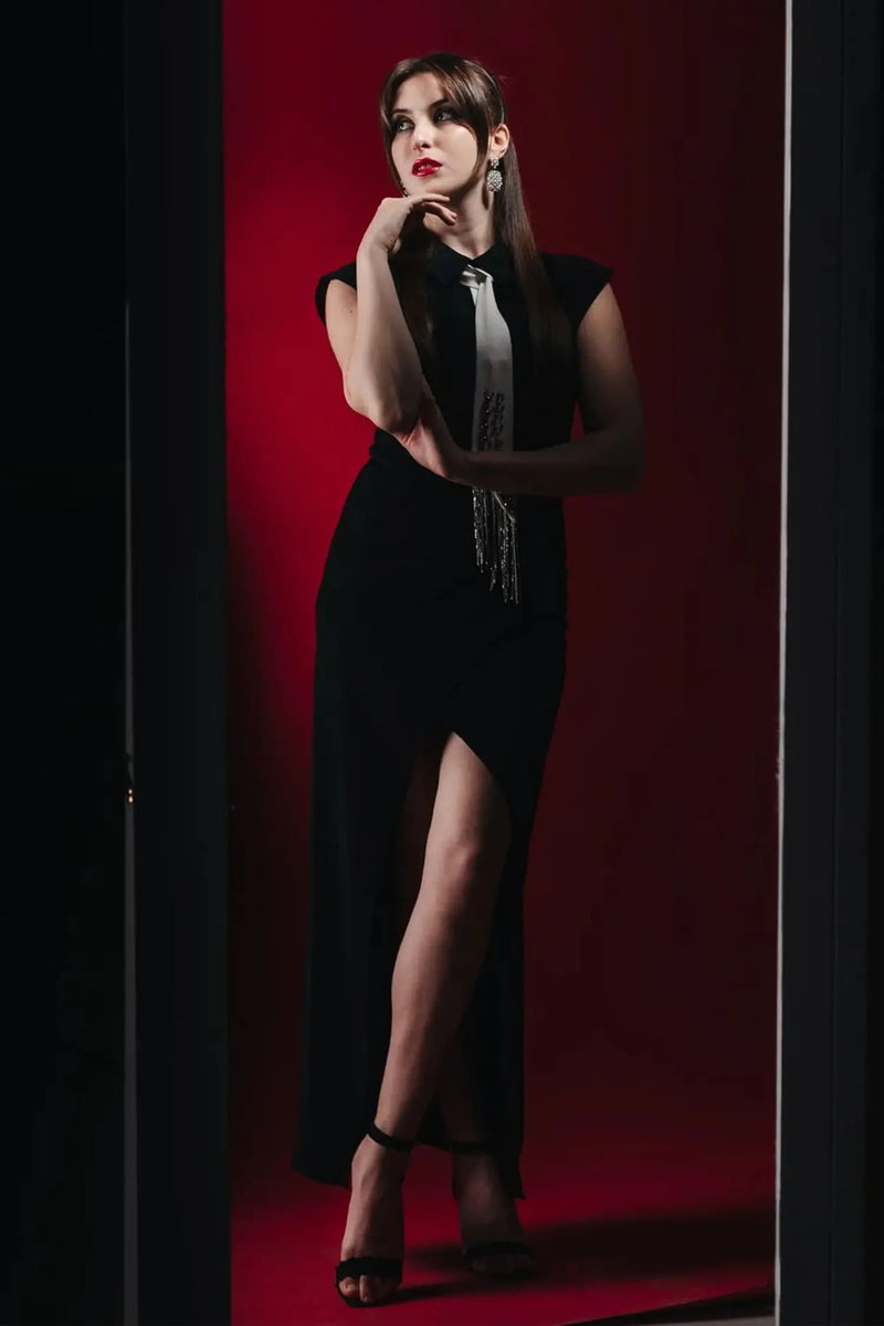Sophisticated Dress with a Clean Classic Look