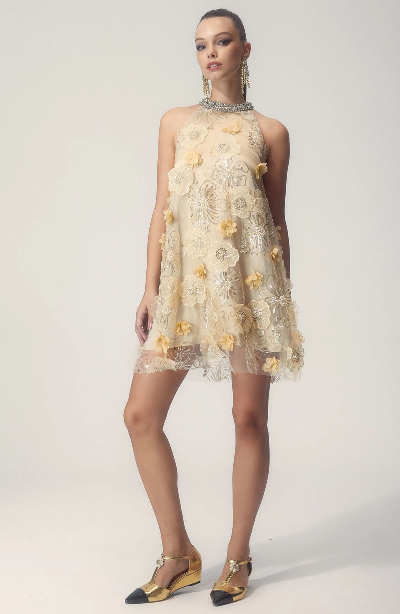 Elegantly Styled Dress for Everyday Wear