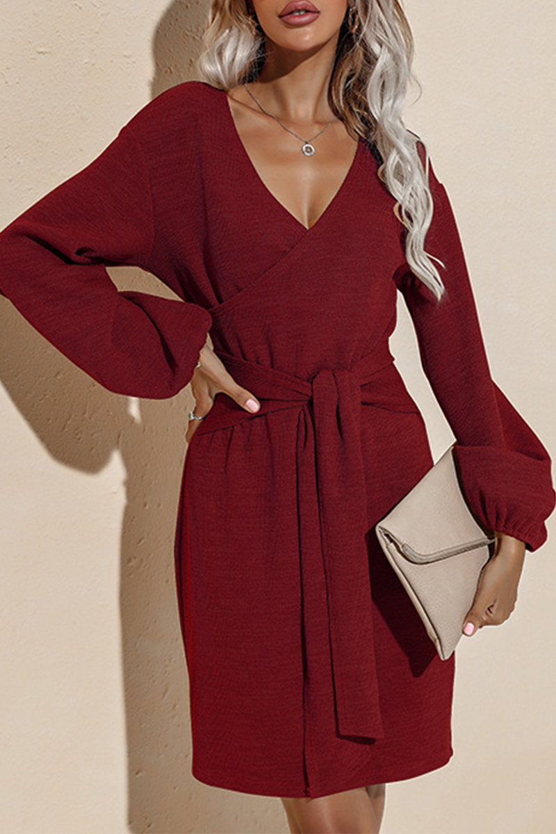 Sophisticated Dress with a Clean Classic Look