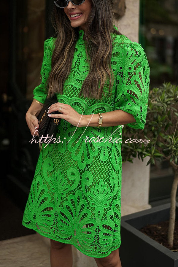 Elegantly Styled Dress for Everyday Wear