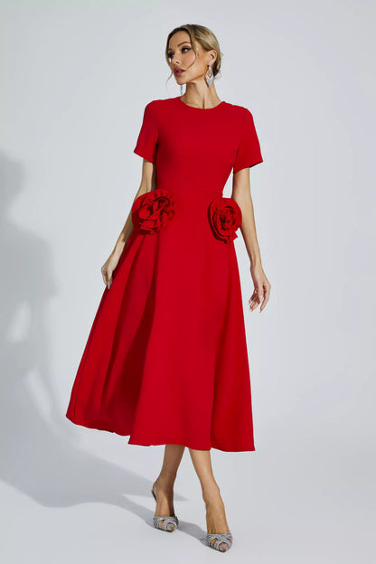 Sophisticated Dress with a Clean Classic Look