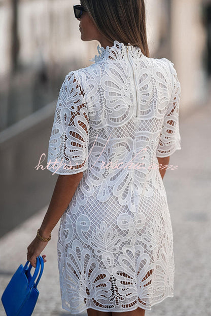 Sophisticated Dress with a Clean Classic Look