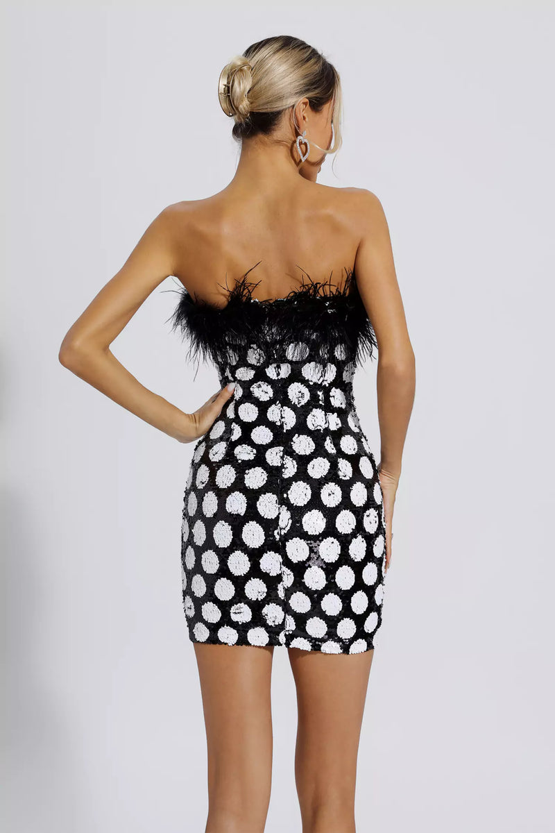 Gracefully Styled Dress for Any Occasion
