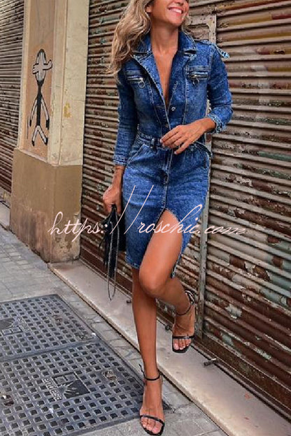 Sophisticated Dress with a Clean Classic Look