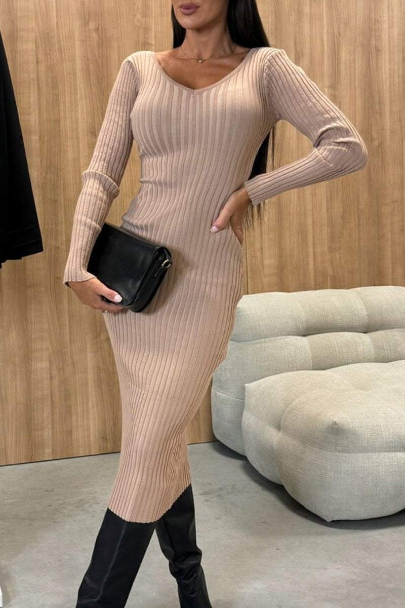 Sophisticated Dress with a Clean Classic Look